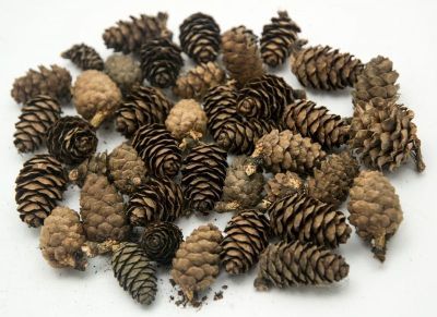 Естествени материали