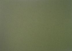 Картон - Цейлон тревисто зелено ( Tintoretto )