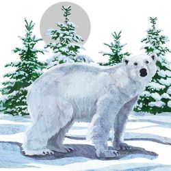 Салфетка Snow Bear 3331675