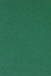 Картон - Тъмно зелено ( Nettuno )