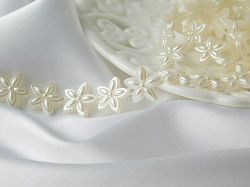 Наниз маргаритки - Шампанско - 1,50 см.-  1.00 м.