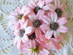 Цветенца с мъхести тичинки - Розово -10 бр