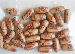 Мъниста - Дървени - 30 бр.