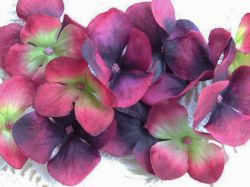 Цветя от плат - Хортензия - Големи Бордо и Зелено  Меланж - 12 бр.