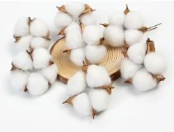 Естествен памук за декорация - 3 бр.