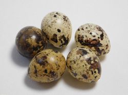 Пътпъдъчи яйце за декорация - 5 бр.