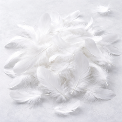 Пера - Бяло - 100 бр. / 10 гр.