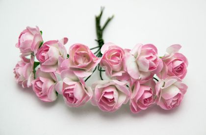 Розички - розово - бели 