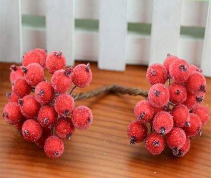 Плодчета заскрежени -Червено - 40бр.