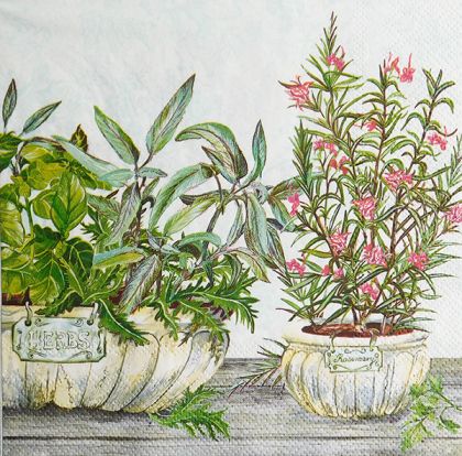 Салфетка Herbs pots