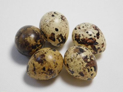 Пътпъдъчи яйце за декорация - 5 бр.