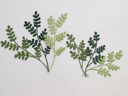 Клонки зелени - 6 бр.