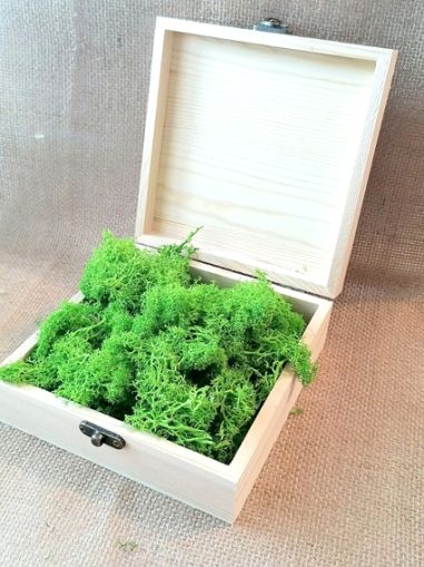 Скандинавски еленски мъх - Пролет №22 - 200 гр.