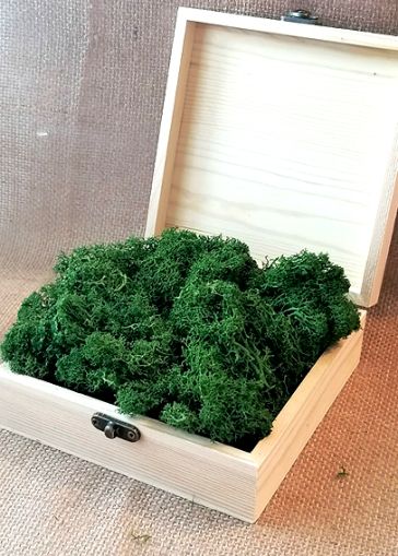 Скандинавски еленски мъх - Тъмно Тревисто №25 - 50 гр