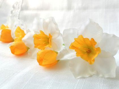 Нарциси Бели - 7 бр.