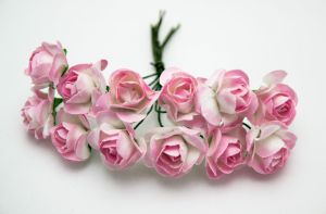 Розички - розово - бели 