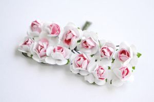 Розички - бели с розово