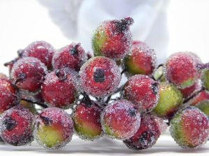 Плодчета заскрежени - Зелено-червени - 40 бр.