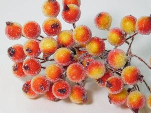 Плодчета заскрежени - Жълто-червени - 40 бр.