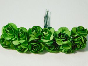 Розички - Папрат зелено