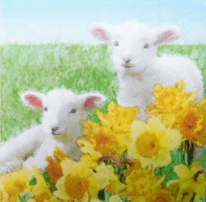 Салфетка Cute lambs 100004