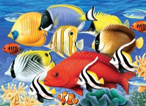  Рисуване по номера - Tropical Fish