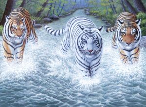  Рисуване по номера - Three Tigers