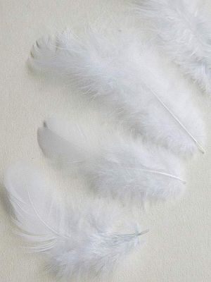 Пера - Бяло - 100 бр. / 10 гр.