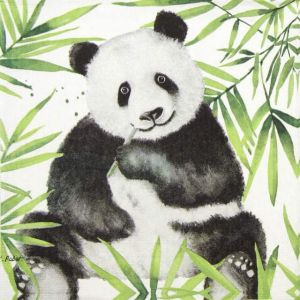 Пкет Салфетки Tropical Panda 1333240