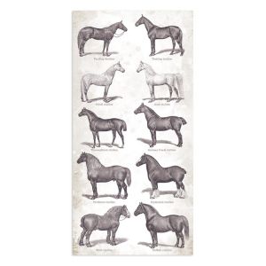 Комплект дизайнерска хартия - HORSES - 10 двустранни листа