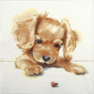 Салфетка Puppy & Ladybird 13316300