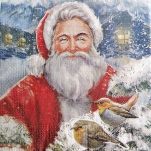 Салфетка Santa with robin