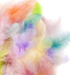 Пера екзотични  - Пастелни цветове 5-12  cm -  5 гр.