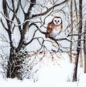 Салфетка Winter Owl 33310700