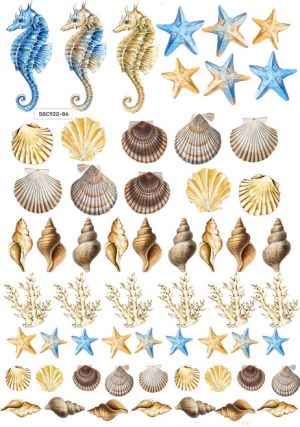 Комплект изрязани елементи - Sea blue summer Sea shells and corals - 95 бр.