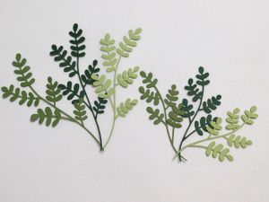 Клонки зелени - 6 бр.