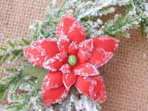 Ледени кристали - 35 гр.