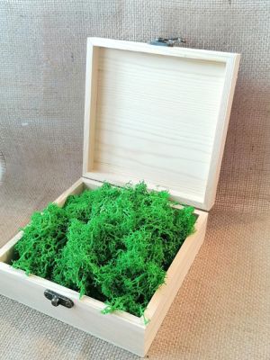 Скандинавски еленски мъх - Светло тревисто №27 - 200 гр.