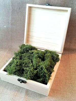 Скандинавски еленски мъх - Маслина №20 -  50 гр.