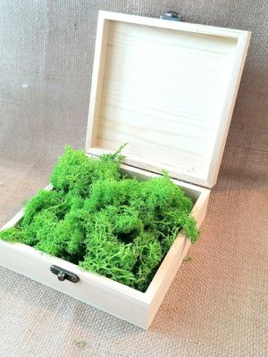 Скандинавски еленски мъх - Пролет №22 - 50 гр.