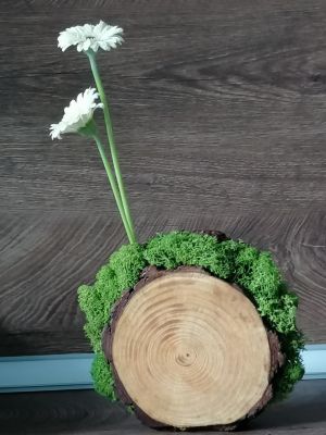 Скандинавски еленски мъх - Тъмно Тревисто №25 - 200 гр