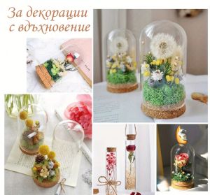 Стъклено шише с коркова тапа и  обло дъно -  Ø 3,00 х 7,00 см