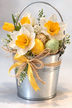 Нарциси Бели - 7 бр.