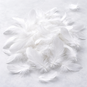 Пера - Бяло - 100 бр. / 10 гр.